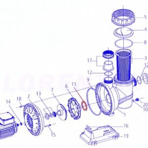 CS 17-1 Seal-ring 57.5 x 6.2 x 6