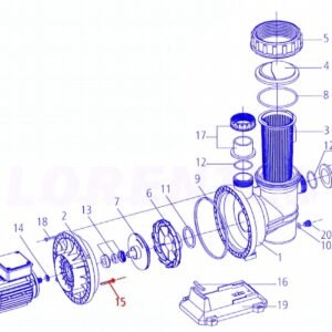 CS 17-1 Screw With Protector