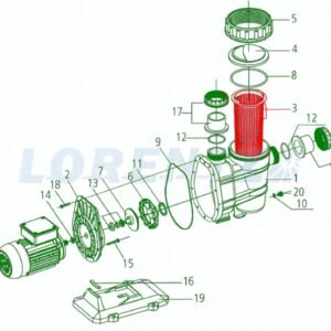 CS 37-1 Strainer Basket