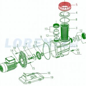 CS 37-1 Ring For Lid