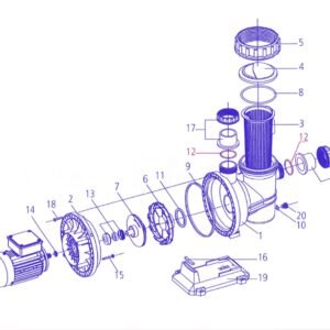 CS 17-1 O Ring 48.5 x 3.5